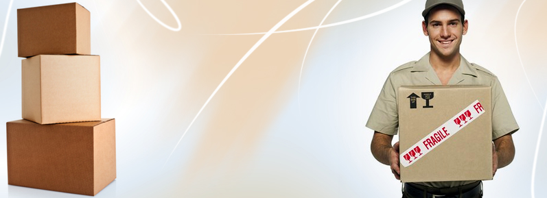 banner4